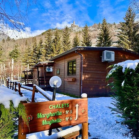 Bijoux Des Alpes - Mont Blanc Village La Salle Eksteriør billede